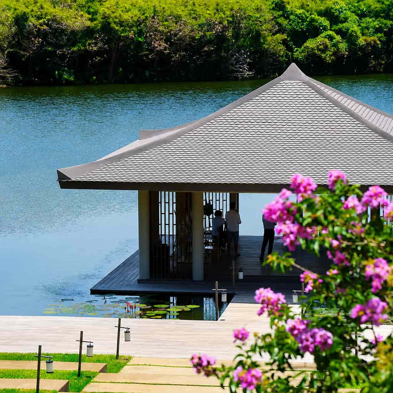 Wellness Retreats