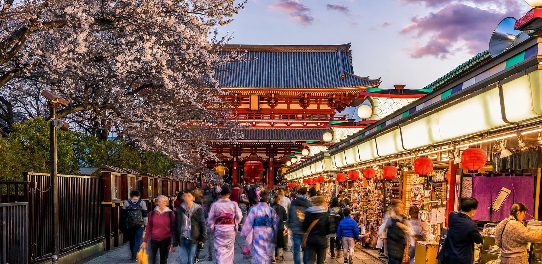 Japan Discovery