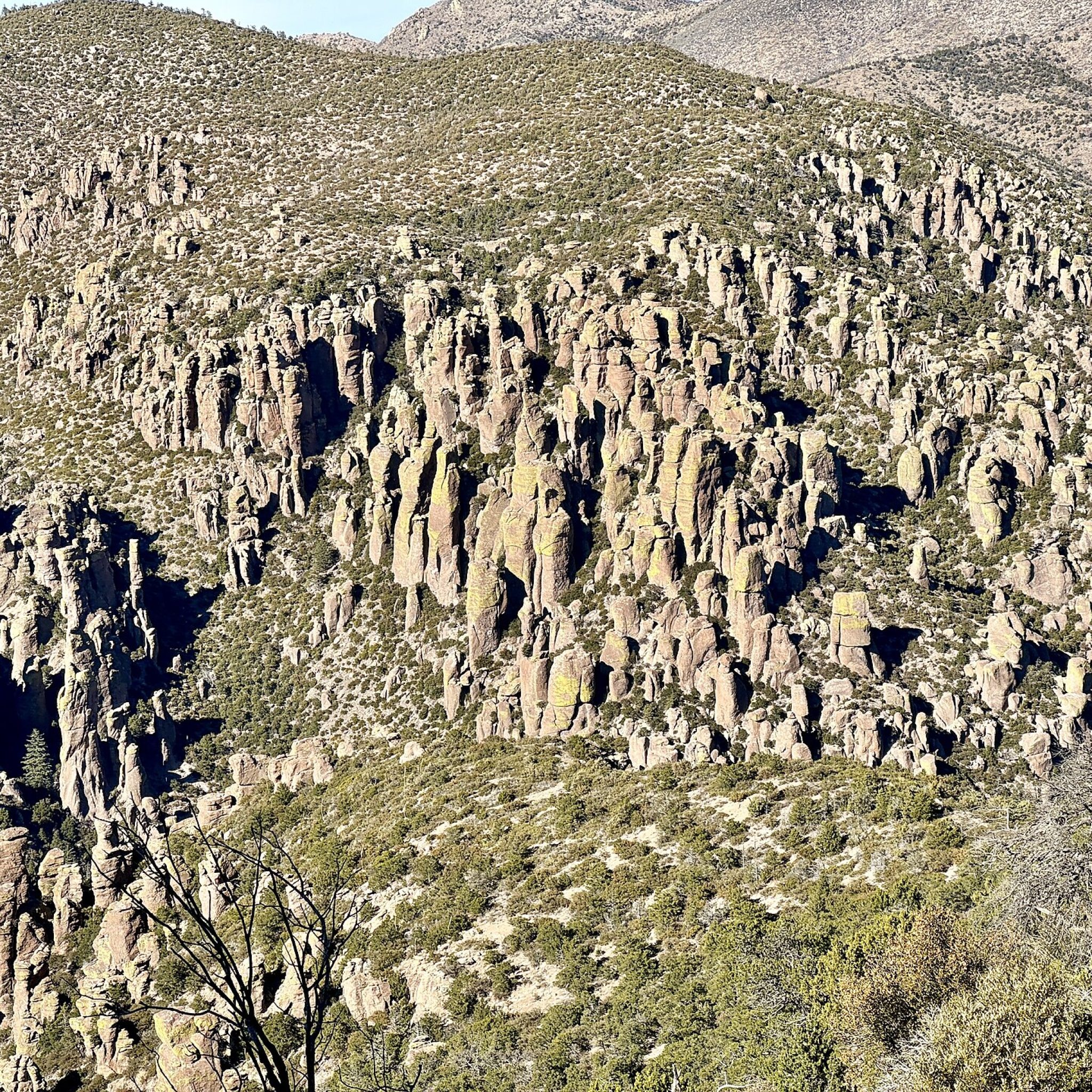 Rhyolite rock pinnacles seen from the Sugarloaf Mountain Trail in Chiricahua National Park, Arizona